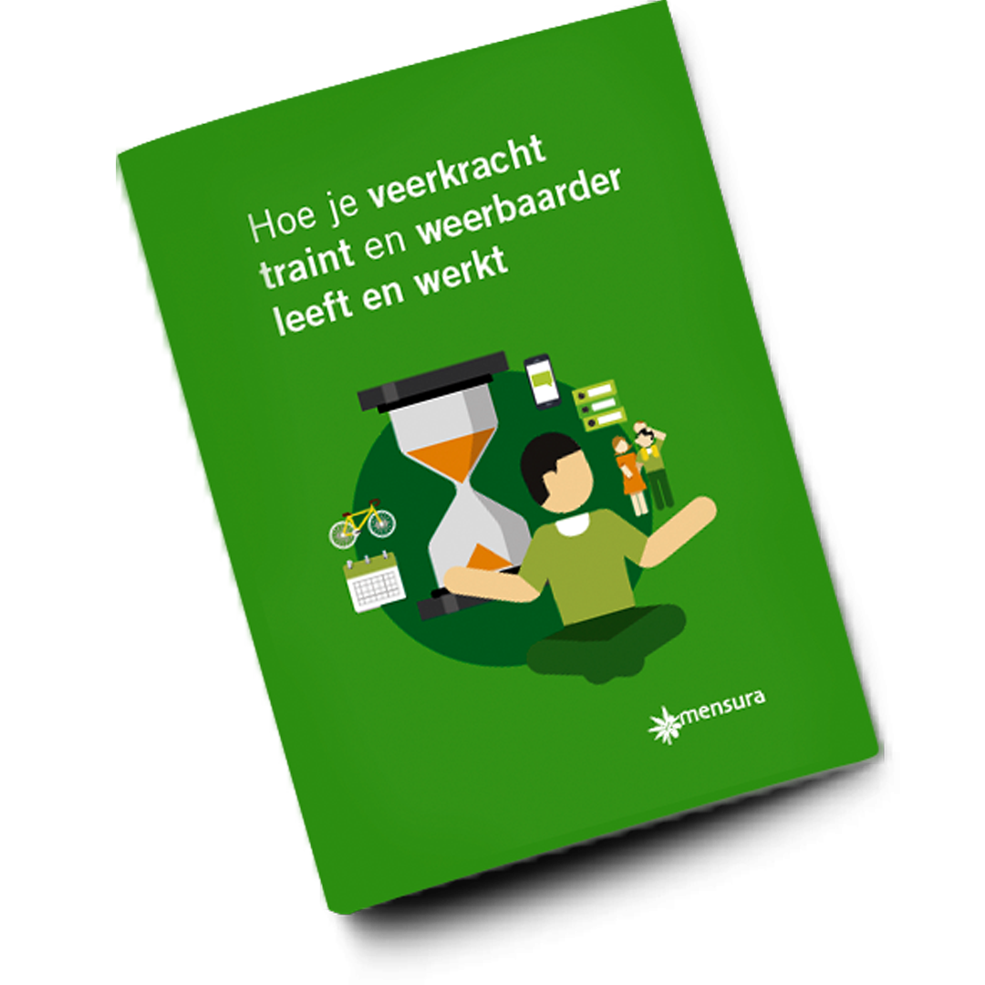 E-book Veerkracht